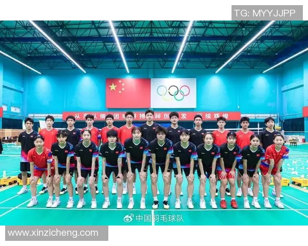 深入分析成都羽毛球队的防反战术及其在比赛中的应用策略