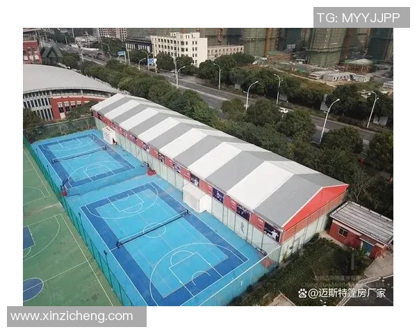 西安网球队的灵活性揭秘：从训练到比赛的全方位探索与分析