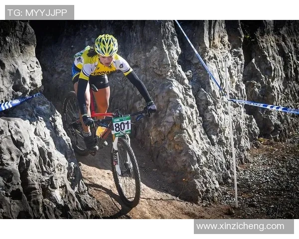 尼斯与圣旺红星激战正酣精彩赛事回顾与分析