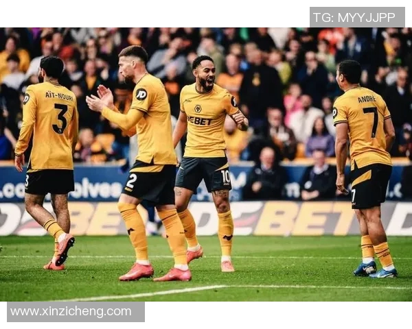 曼城对阵狼队比赛指数分析及投注建议全面解读