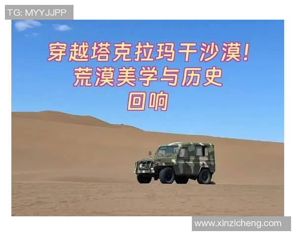 苏维与陆军的较量：历史的回响与未来的展望