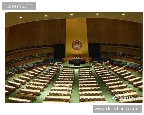 倪永康的政治生涯与影响力探讨及其在中国现代史上的重要地位分析