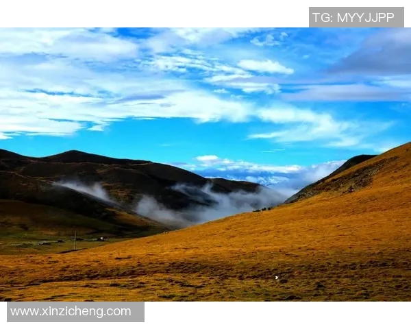 何思雨的成长之路与人生哲学探索:从校园到职场的心灵旅程 何思雨的成长之路与人生哲学探索:从校园到职场的心灵旅程