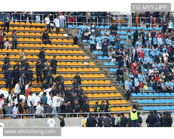 智诚与权健对决数据分析揭示比赛关键因素与战术布局 智诚与权健对决数据分析揭示比赛关键因素与战术布局