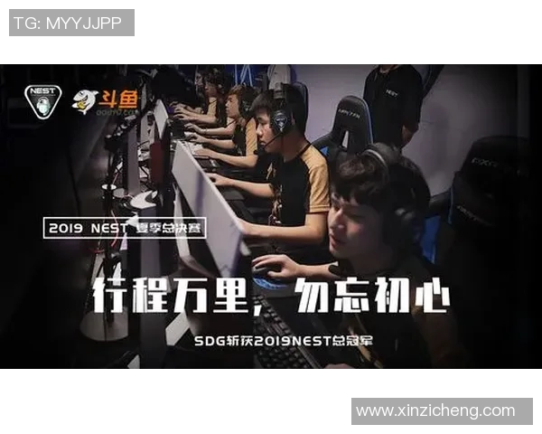 英雄联盟深度解析：BLG战队盯防策略与战术布局全揭秘