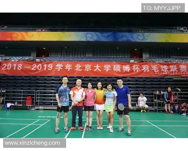 北京排球队个人能力深度对比分析与发展潜力探讨MBA